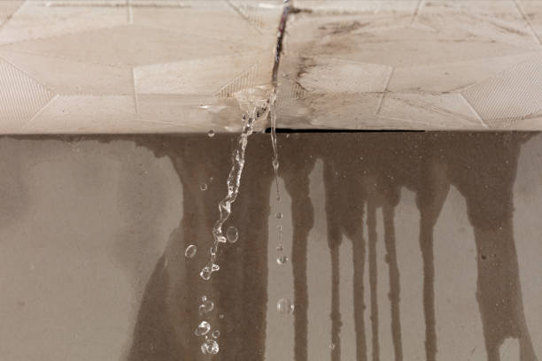 Professional Sewage Cleanup technician working in Union, IL